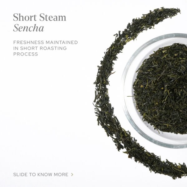 SENCHA - Image 2
