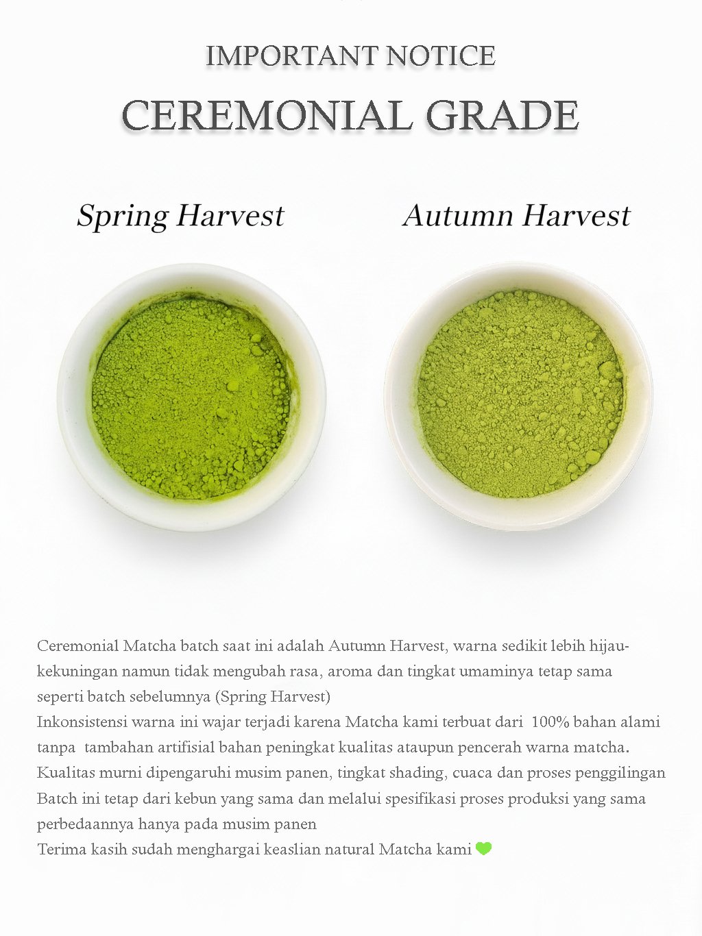 MATCHA POWDER (CEREMONIAL GRADE) - Image 2