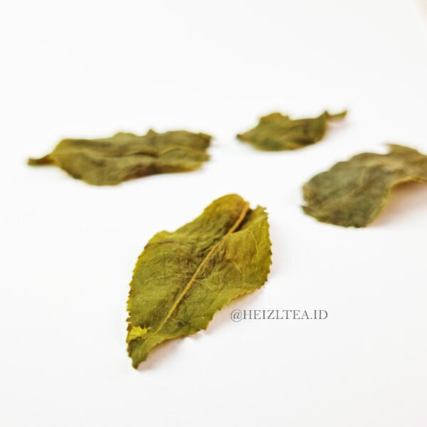 MILK OOLONG - Image 4