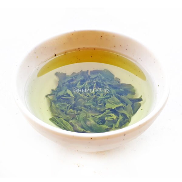 SENCHA - Image 5