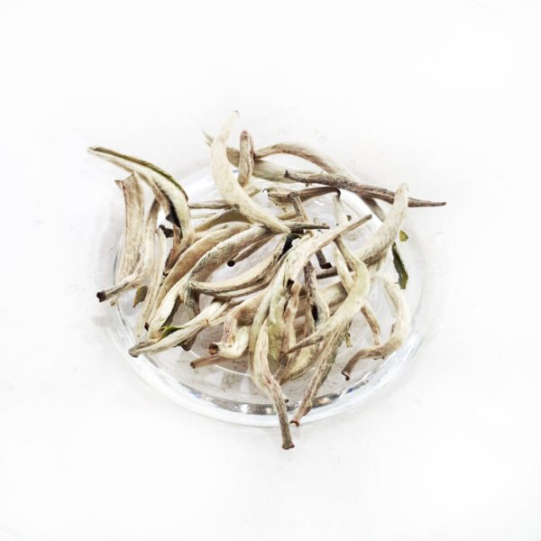 SILVER NEEDLE - Image 6